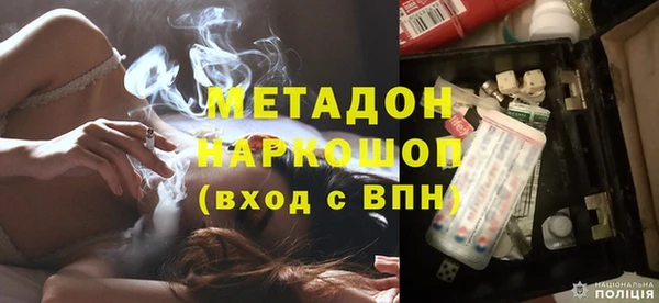 сатива Новодвинск