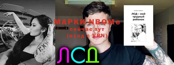 соль ск Новозыбков