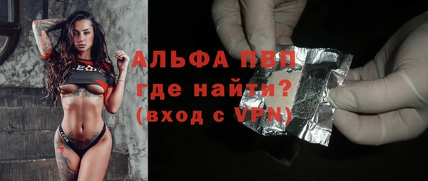 соль ск Новозыбков