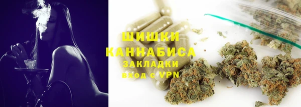 сатива Новодвинск