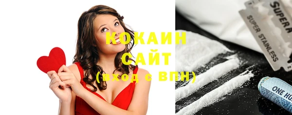 соль ск Новозыбков