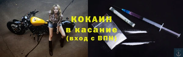 соль ск Новозыбков