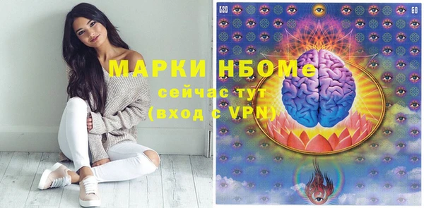 соль ск Новозыбков