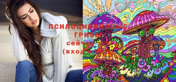 круглые Нягань