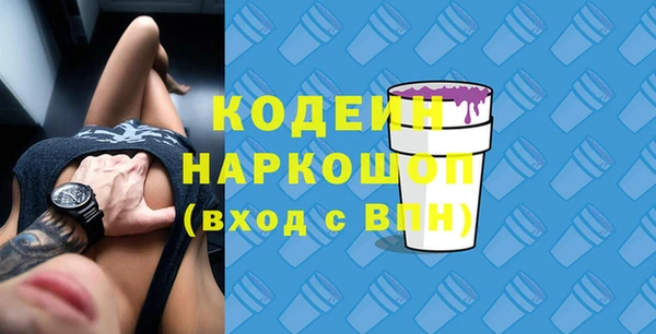 сатива Новодвинск