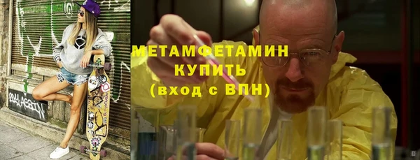 сатива Новодвинск