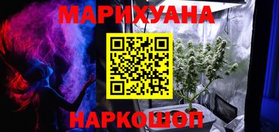 прущие крисы Гай