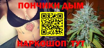 прущие крисы Гай