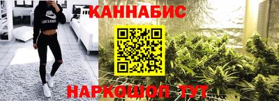 прущие крисы Гай