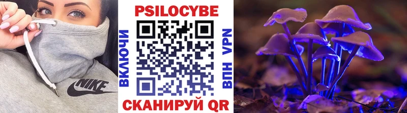 Галлюциногенные грибы мухоморы  купить наркотики сайты  Алексеевка 