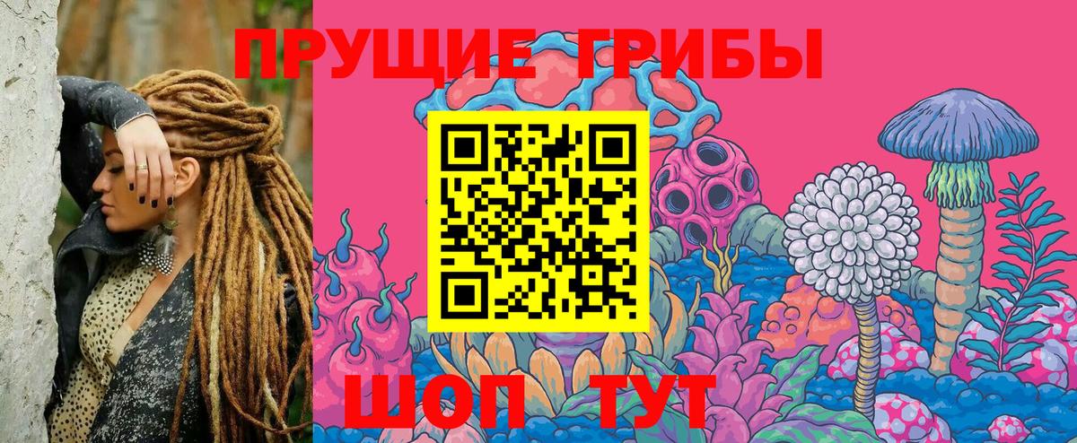Галлюциногенные грибы прущие грибы  Алексеевка  Галлюциногенные грибы GOLDEN TEACHER 