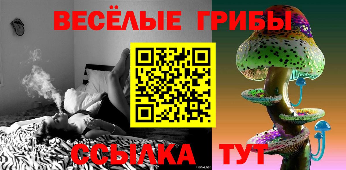 Алексеевка  Галлюциногенные грибы ЛСД  наркота  Вход с VPN 