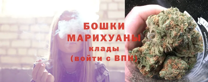 купить закладку  Алексеевка  Бошки Шишки SATIVA & INDICA 